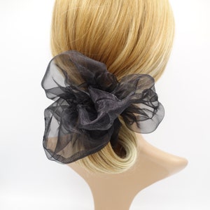 May include: Black sheer fabric hair scrunchie. The scrunchie is tied in a large bow shape.