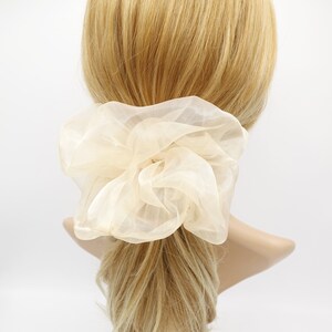 May include: A large, ivory-colored,  fluffy hair scrunchie made of sheer fabric.