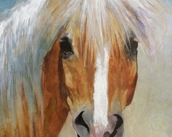 Giclée Horse Palomino Haflinger, złoto i biel