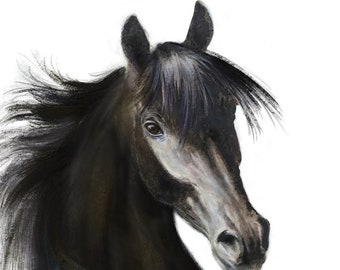 Black Horse Art, Giclee, Horse Painting Art,Horse Lover Gift, Gift for Her,Black and White, Horse Drawing, Black Stallion,Country Decor