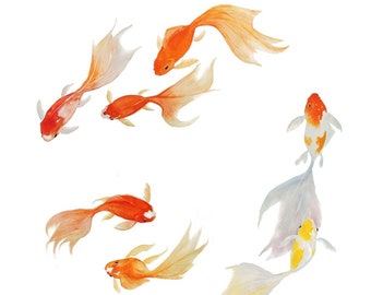 Watercolor Goldfish Art Giclee Print, Sealife Painting, White and Gold,  Beach Decor,  Gift for Fish Lovers