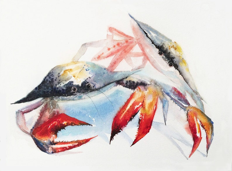 Crab Painting, Watercolor Sealife Art, Sealife Crab ,Print, Beach Art, Colorful Beach Print, Watercolor Sea Painting, Colorful Crab art image 1