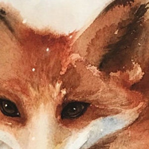 May include: Close-up of a fox's face with brown fur and dark eyes. The fox is looking directly at the viewer.