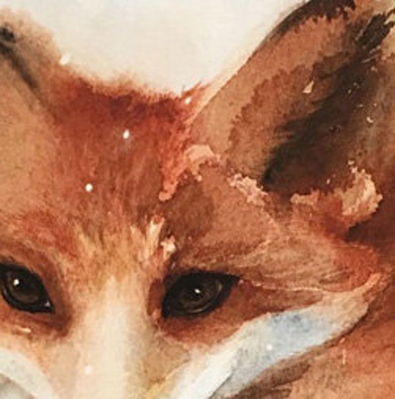 May include: Close-up of a fox's face with brown fur and dark eyes. The fox is looking directly at the viewer.