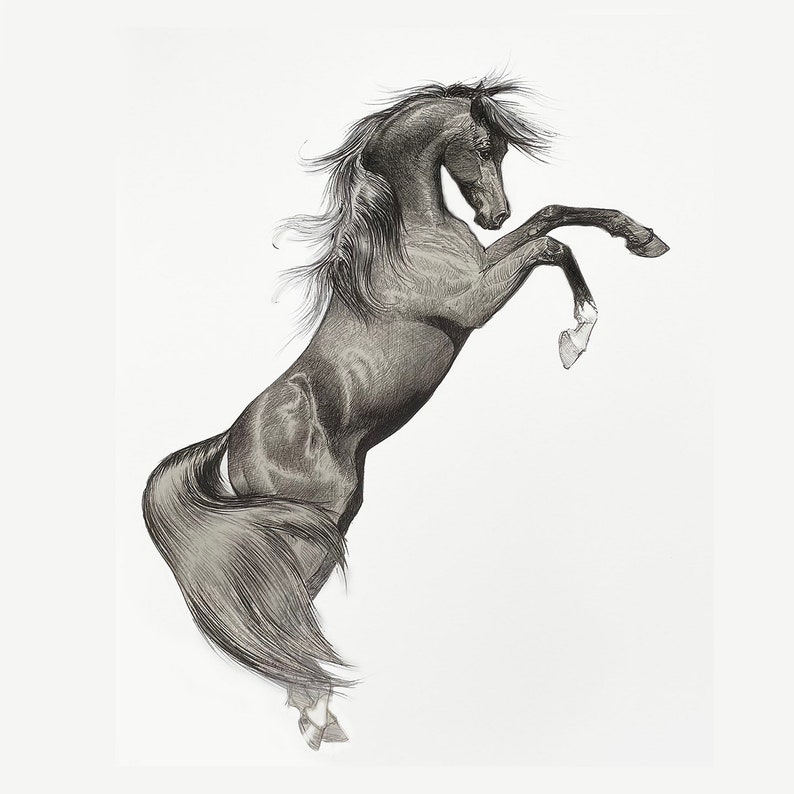 May include: A detailed pencil drawing of a rearing horse. The horse is depicted in a dynamic pose, with its front legs raised and its body arched. The horse's mane and tail flow gracefully, adding to the sense of movement. The artwork is set against a plain white background.