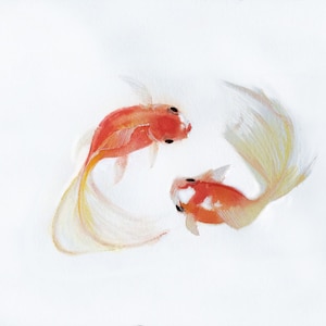 Watercolor Goldfish Print, Gold and White Painting, Sumi Art, Cute Nursery Art, Gift for Her