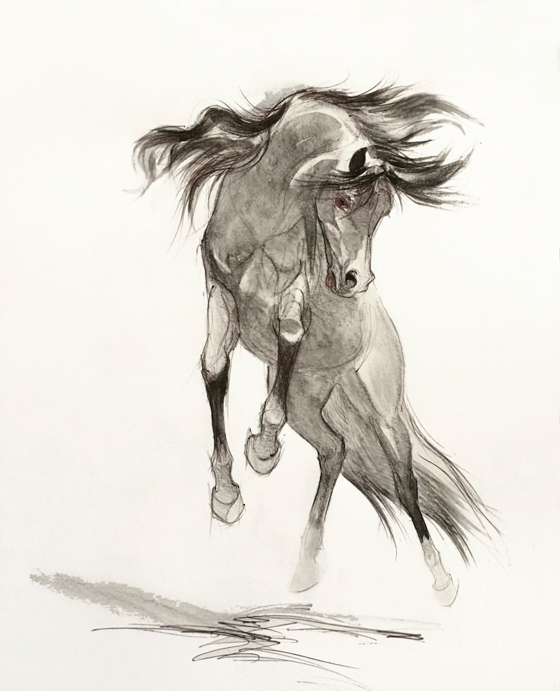 Pencil Horse DrawingHorse Wall Art Drawing Print Giclee Etsy