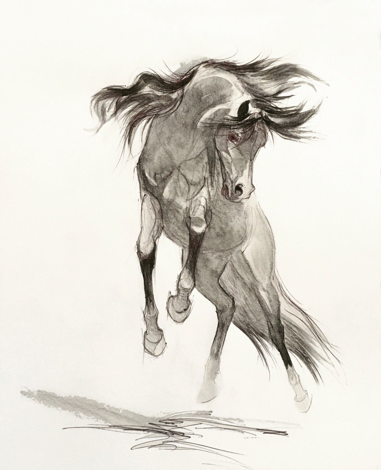 Horse Sketch Artwork Buy HighQuality Posters and Framed Posters Online   All in One Place  PosterGully