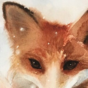 May include: Close-up of a red fox's face with brown eyes, surrounded by white snow. The fox is looking directly at the viewer.