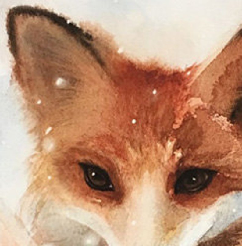 May include: Close-up of a red fox's face with brown eyes, surrounded by white snow. The fox is looking directly at the viewer.