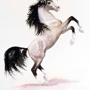Arte del caballo de la acuarela, impresión del caballo de cría, arte del caballo salvaje, arte de la habitación de los niños, regalo de los amantes de los caballos, ilustración del caballo de cría, bellas artes, niños