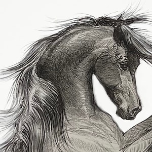 May include: A detailed black and white sketch of a horse rearing up. The horse's mane and tail flow dramatically, suggesting movement. The artwork is done in a detailed, realistic style, with shading to create depth.