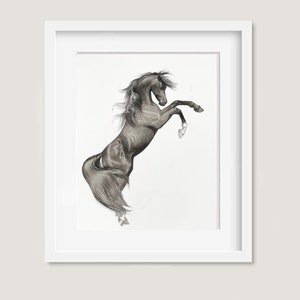 May include: A framed black and white pencil drawing of a rearing horse. The horse is depicted in a dynamic pose, with its front legs raised and its body arched. The artwork is set against a white background.