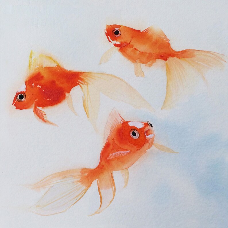 Original Watercolor Goldfish Original Painting Goldfish Art Etsy