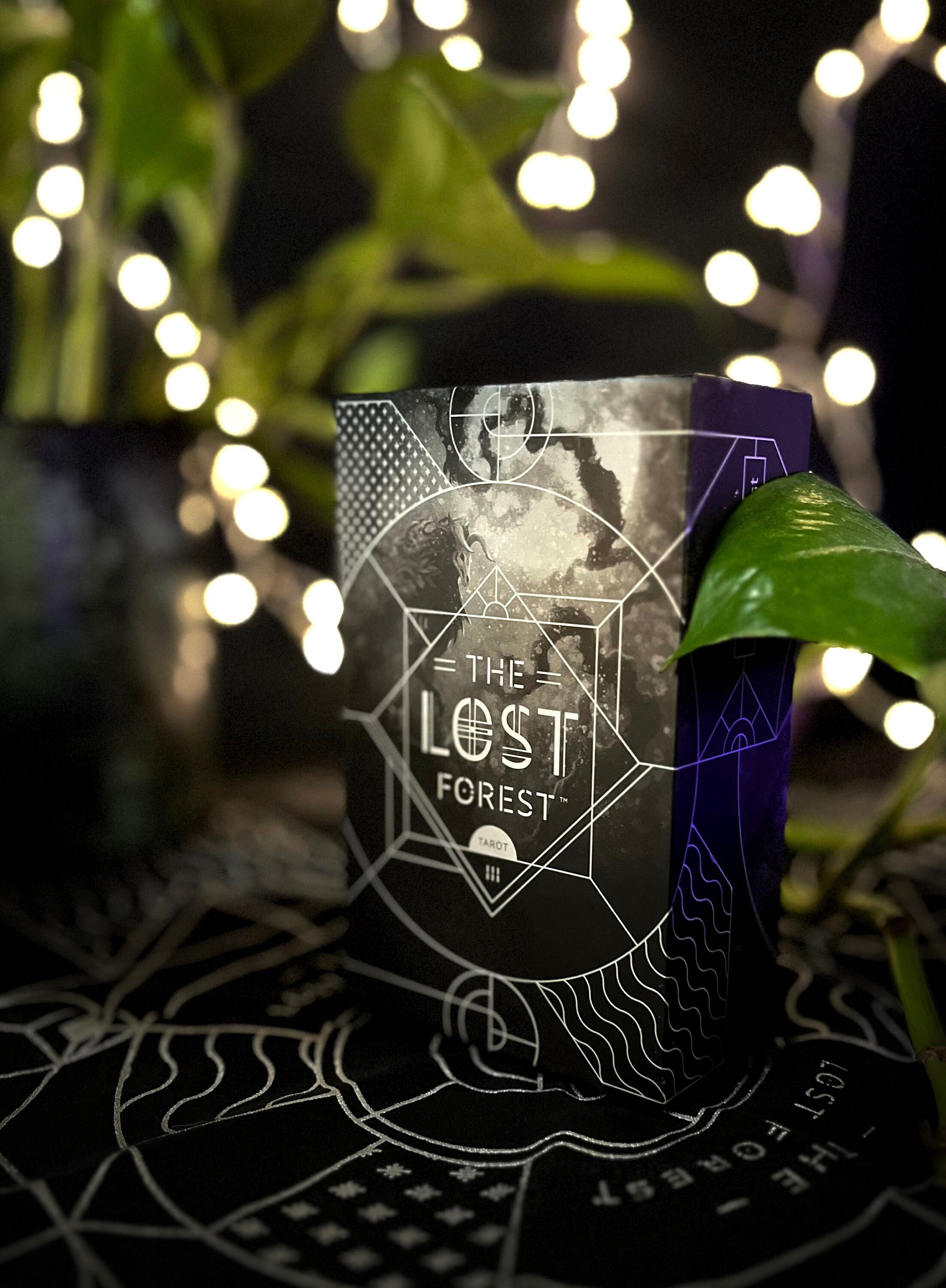 The Lost Forest Tarot 3RD EDITION オラクル Amazon.co.jp: The Lost Forest Tarot 3RD EDITION オラクル