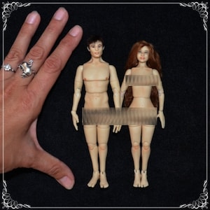 1/12 bjd doll - real proportions - OOAK custom made - COUPLE - mature content