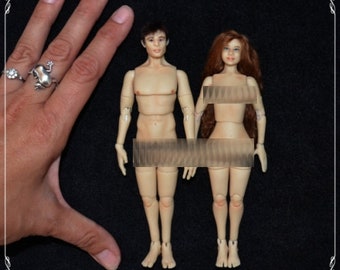 1/12 bjd dolls - COUPLE - real proportions - OOAK made to order - mature content