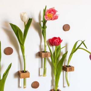 Magnetic glass tube for flowers, decorations or spice | fridge magnet, refrigerator magnet, test tube vase
