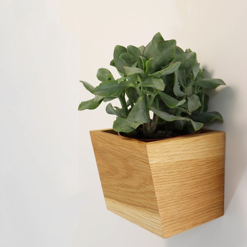 MAGNETIC wooden planter Oblique | magnetic flower pot for wall mounted herbs and plants shops