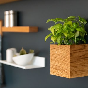Magnetischer Blumentopf  aus Eichenholz | magnetischer Blumentopf für an der Wand befestigte Kräuter und Blumen