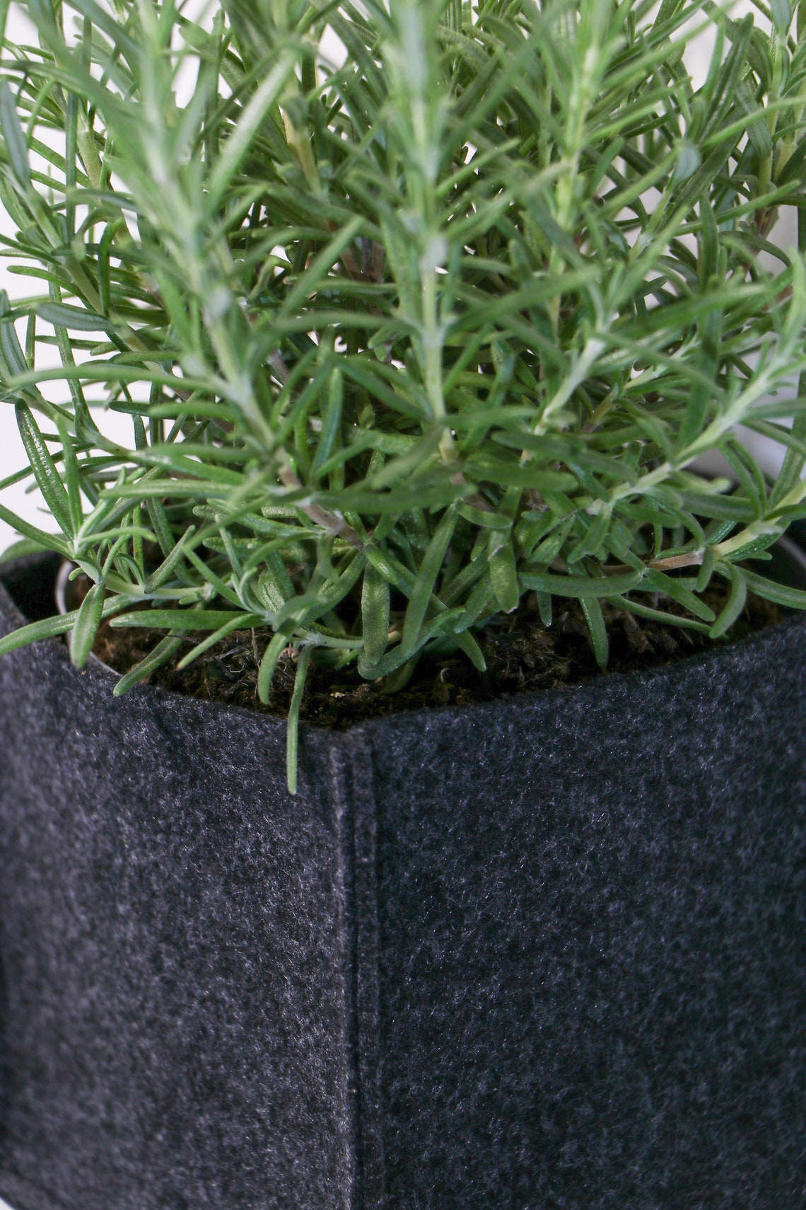 Felt Planter Wall Mounted Planter for Herbs Etsy