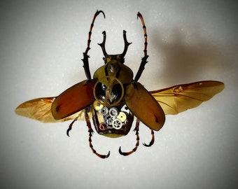 Steampunk entomology mechanical insect beetle