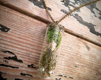 Naturalist shaman adventurer terrarium vial pendant necklace