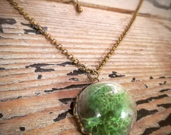 Collier pendentif médaillon terrarium naturaliste chamane aventurière