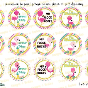 Imagens de tampas de garrafa Flamingo - imagens digitais