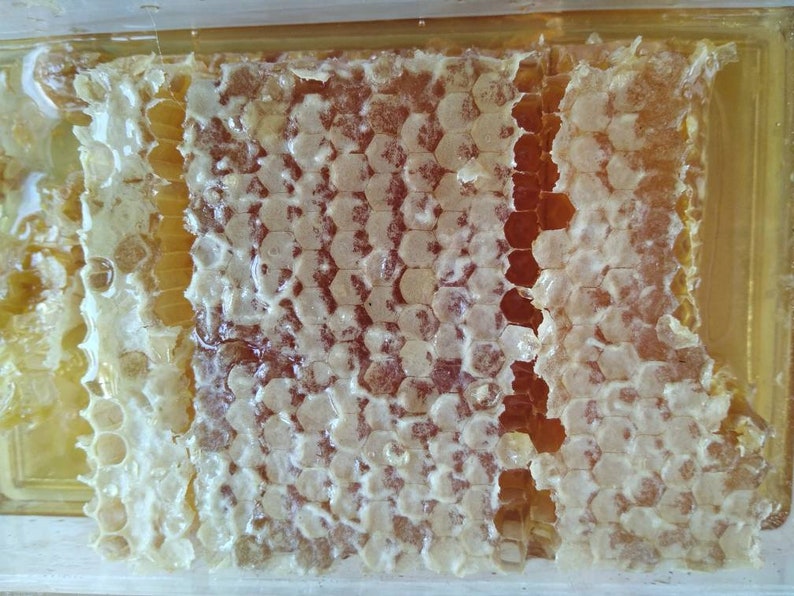 Pure Raw Honeycomb 