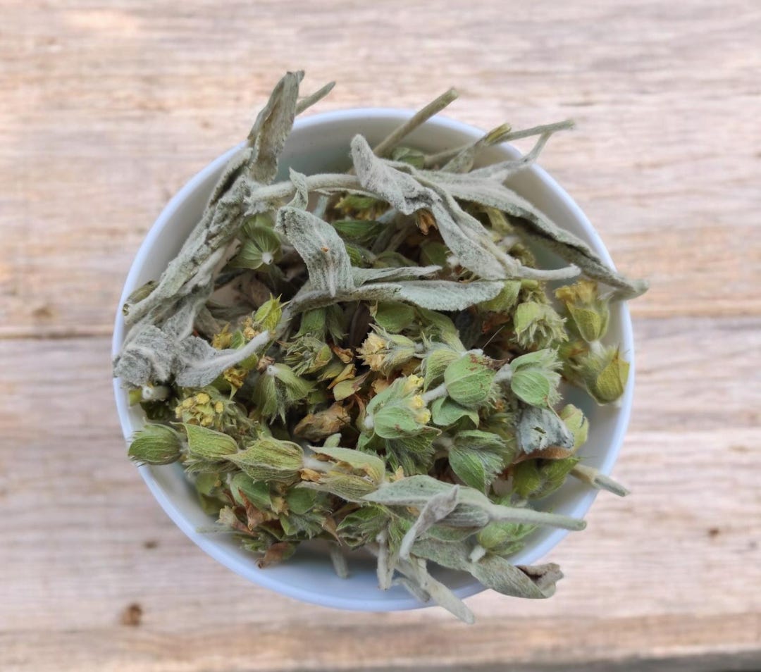 Greek Mountain Tea: Handpicked Sideritis Herb - Arcadia, Peloponnese - Etsy