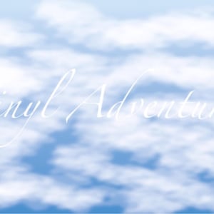 May include: A blue sky with white clouds and the text "Vinyl Adventures" written in white.