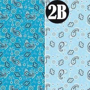 May include: Two paisley patterned fabric swatches. The swatch on the left is a bright turquoise blue with white and black paisley designs. The swatch on the right is a light blue with white and black paisley designs.