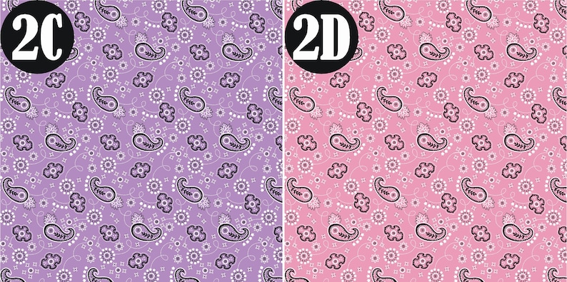 May include: Two paisley patterned fabric swatches. The left swatch is purple with white paisley designs. The right swatch is pink with white paisley designs. The swatches are labeled "2C" and "2D" respectively.