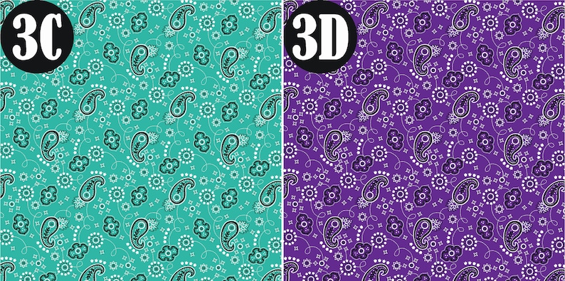 May include: Two seamless paisley patterns, one in teal and one in purple, with white and black accents. The patterns are labeled "3C" and "3D".