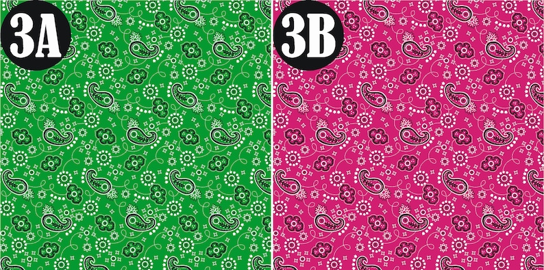 May include: Two bandana patterns, one green with white paisley designs and the other pink with white paisley designs. The patterns are labeled 3A and 3B.