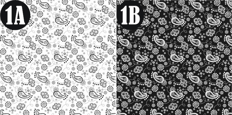 May include: Two black and white paisley patterns, one on a white background and the other on a black background. The patterns are labeled 1A and 1B.