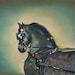 nicefilly