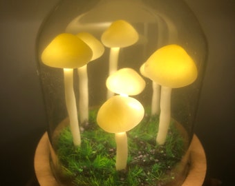 May include: A glass dome with a wooden base containing five glowing white mushrooms and green grass. The mushrooms are arranged in a cluster and are illuminated from within.