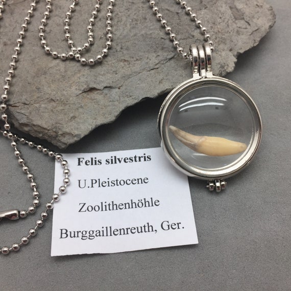 Cat tooth necklace clearance