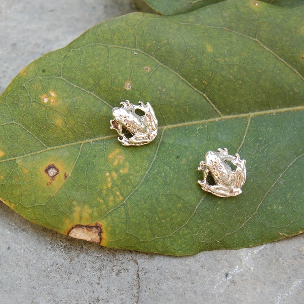 Tiny Tree Frog Stud Earrings Sterling Silver Post & Nut 3/8" x 1/4"