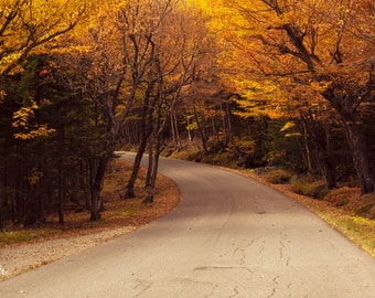 Auto Road Mt. Washington in Fall Print