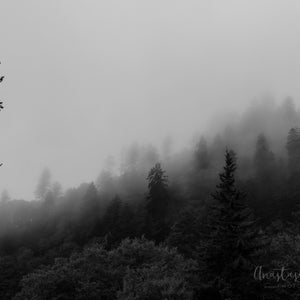 Smoky Mountains in Fog Photography Print