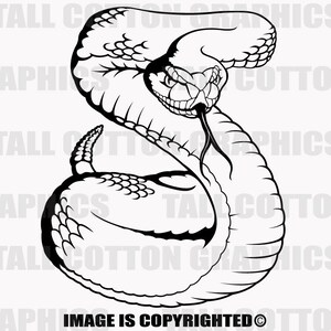May include: Black and white line art illustration of a rattlesnake coiled in a defensive position with its head raised and fangs visible.