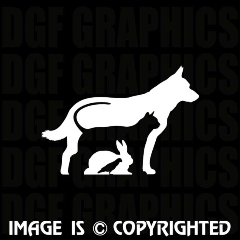 VETERINARY CARE Dog, Cat, Rabbit, Bird Vinyl Decal - #JB052 bild 2