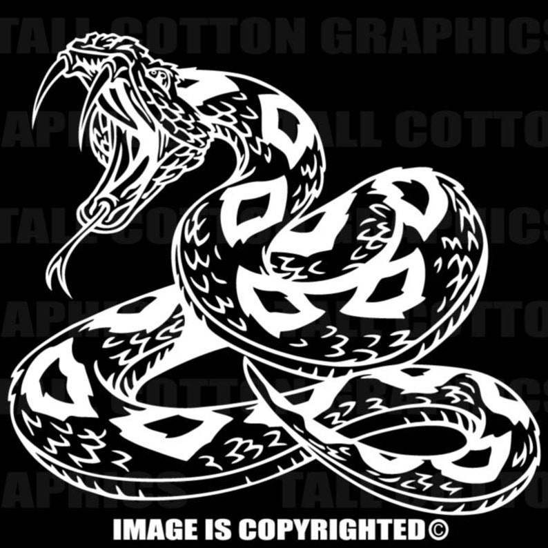 Snake with fangs Vinyl Decal BS077 Etsy