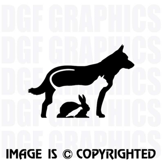 VETERINARY CARE Dog, Cat, Rabbit, Bird Vinyl Decal - #JB052