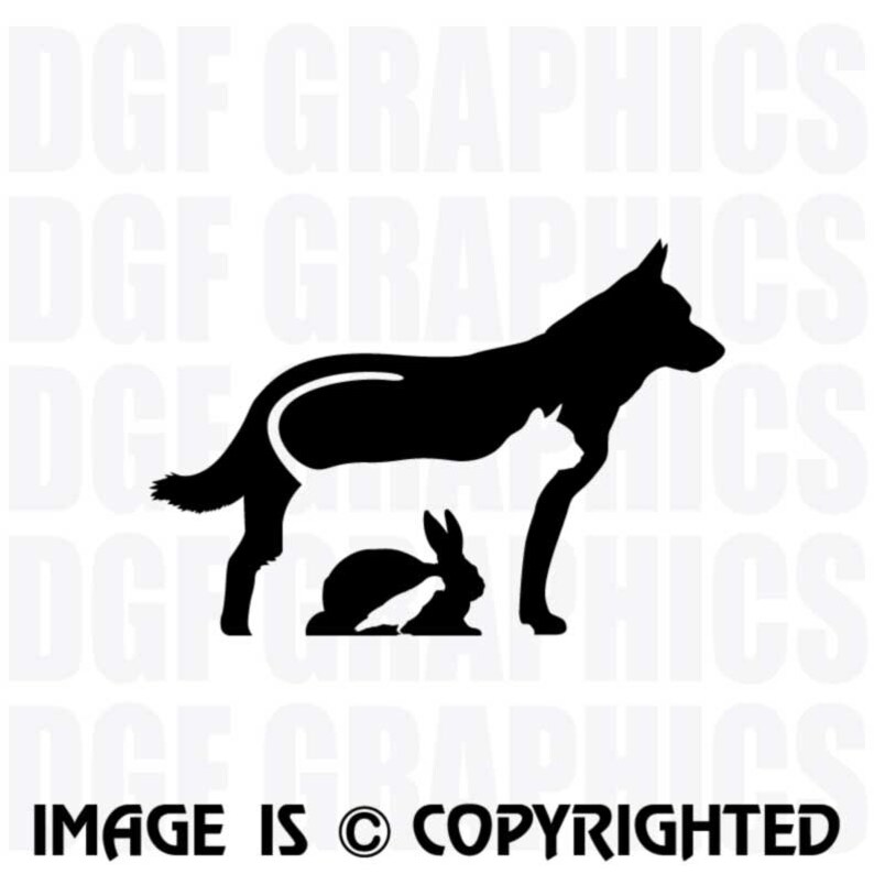 VETERINARY CARE Dog, Cat, Rabbit, Bird Vinyl Decal - #JB052 bild 1