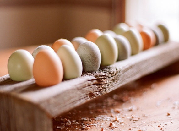 Farmhouse Style Wire Chicken Egg Holder for 10 eggs,colored or just  hardboiled.