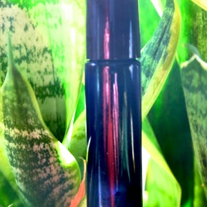 May include: A dark blue glass roller bottle with a silver lid. The bottle is sitting on a green leafy plant.